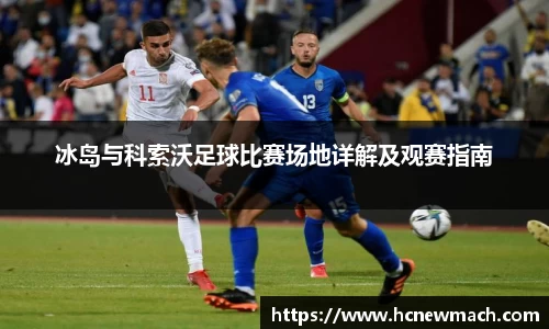 冰岛与科索沃足球比赛场地详解及观赛指南
